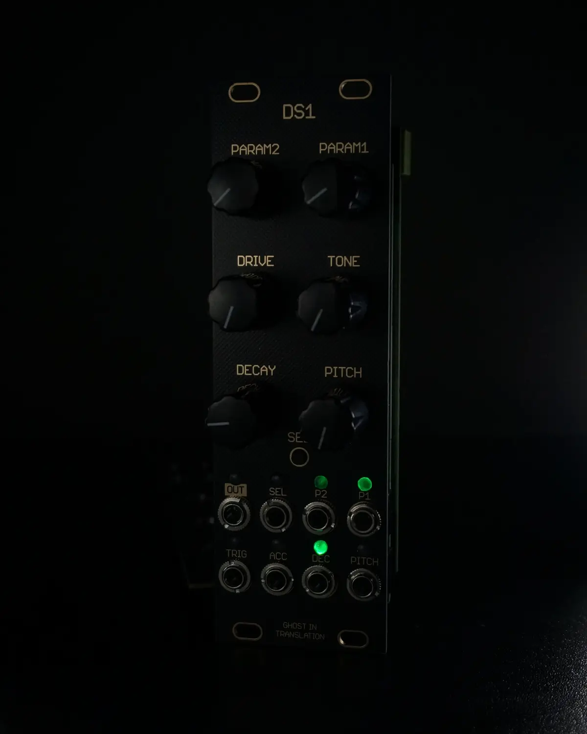 DS1
